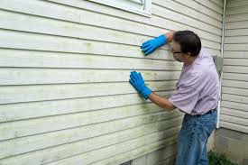 Best Historical Building Siding Restoration  in Anson, TX